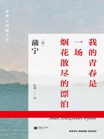 我的青春是一场烟花散尽的漂泊