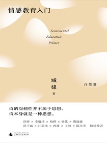 情感教育入门（臧棣诗系）