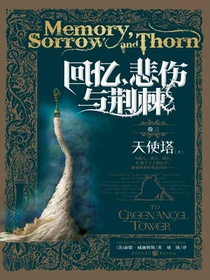 回忆，悲伤与荆棘卷三：天使塔（上）