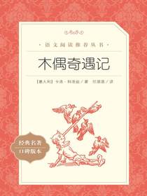 木偶奇遇记（语文阅读推荐丛书）