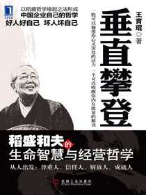 垂直攀登：稻盛和夫的生命智慧与经营哲学
