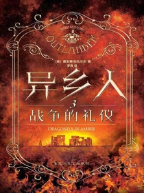 异乡人.3，战争的礼仪