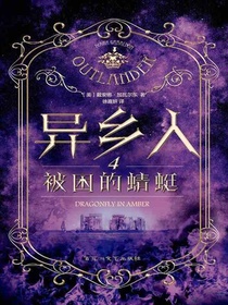 异乡人.4，被困的蜻蜓