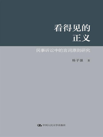 看得见的正义：民事诉讼中的言词原则研究