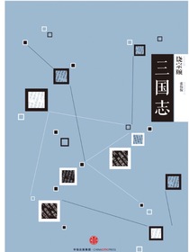 中信国学大典：三国志