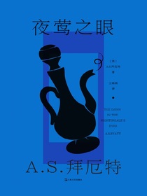 夜莺之眼