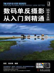 数码单反摄影从入门到精通（精华大全版）