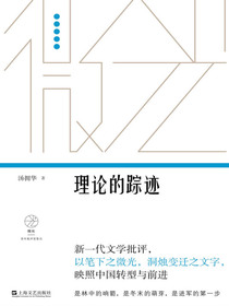 理论的踪迹