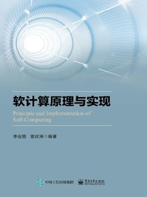 软计算原理与实现