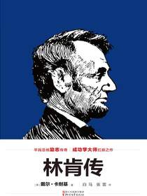 林肯传