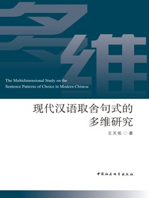 现代汉语取舍句式的多维研究