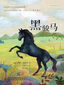 黑骏马