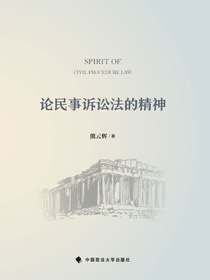 论民事诉讼法的精神