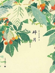 碎片