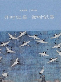 开时似雪谢时似雪：两宋卷（大美中国）
