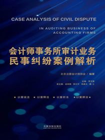 会计师事务所审计业务民事纠纷案例解析