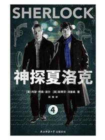 神探夏洛克4