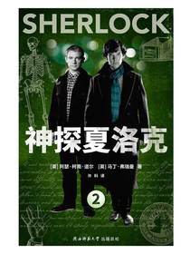 神探夏洛克2