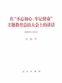 在“不忘初心、牢记使命”主题教育总结大会上的讲话