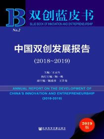 中国双创发展报告（2018~2019）（双创蓝皮书）