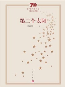 第二个太阳