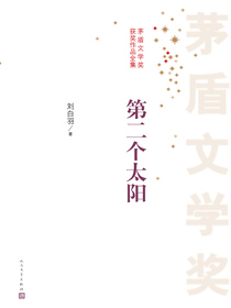 第二个太阳