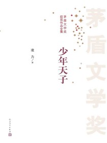 少年天子