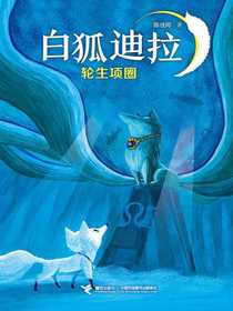 轮生项圈