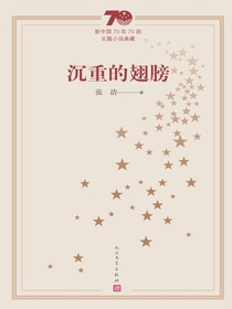 沉重的翅膀