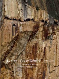 白头叶猴自然史