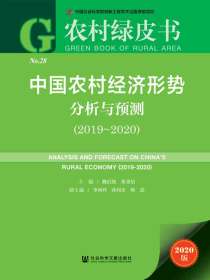 中国农村经济形势分析与预测（2019~2020）