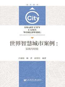 世界智慧城市案例：实践与经验（城市研究）