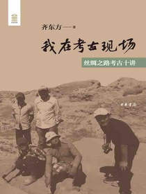 我在考古现场：丝绸之路考古十讲
