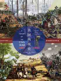 美国内战史：1861—1865