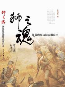 狮之魂：美国内战中的中国战士
