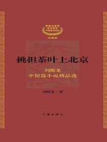 挑担茶叶上北京：中短篇小说精品选