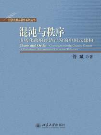 混沌与秩序：市场化政府经济行为的中国式建构