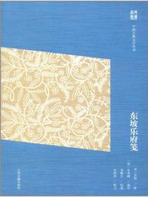 东坡乐府笺（中国古典文学丛书简体版）