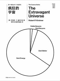 疯狂的宇宙（第一推动丛书·宇宙系列）
