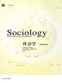 社会学：批判的导论