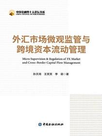 外汇市场微观监管与跨境资本流动管理