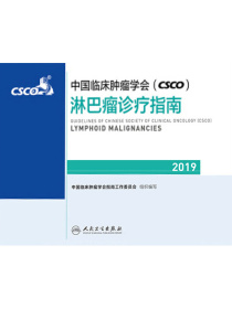中国临床肿瘤学会（CSCO）淋巴瘤诊疗指南（2019）
