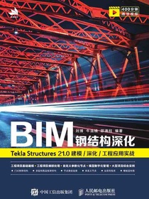 BIM钢结构深化：TeklaStructures21.0建模／深化／工程应用实战