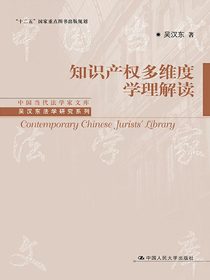 知识产权多维度学理解读