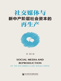 社交媒体与新中产阶层社会资本的再生产