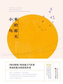 小鸟来的那天
