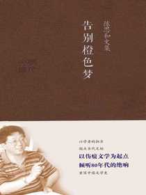 告别橙色梦（陈思和文集）
