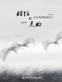 理性的灵动：大自然的摄影语言（第2版）