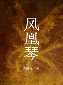 凤凰琴