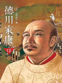德川家康12：大坂风云